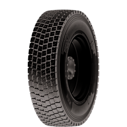 SAIA LOCAL SR royal-black-dv211