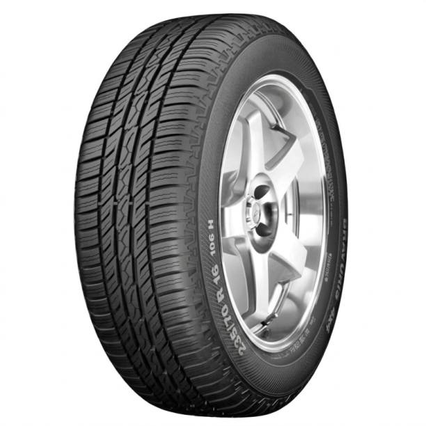 SAIA CGB 0113650